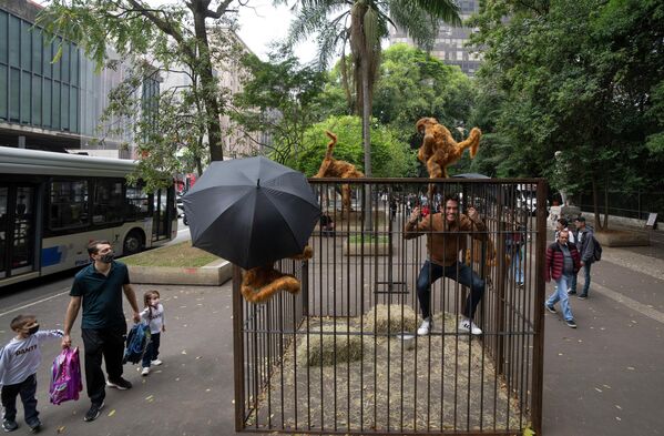 Một vị khách bắt chước con vật trong lồng, leo lên tác phẩm nghệ thuật sắp đặt ở Sao Paulo, Brazil - Sputnik Việt Nam