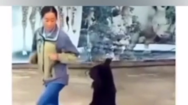 Di chuyển cơ thể: một chú gấu con nhảy như người chinh phục Internet - Sputnik Việt Nam