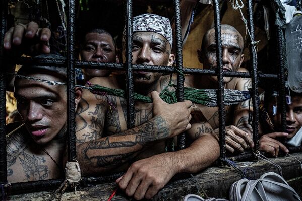 &#x27;&#x27;Inmates look out of a cell&#x27;&#x27; trong loạt ảnh Sin Salida của nhiếp ảnh gia Anh Tariq Zaidi, Giải Merit Award tại All About Photo Awards 2022 - Sputnik Việt Nam