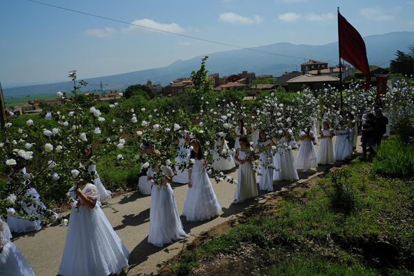 Các thiếu nữ «Las Doncellas» mặc váy cưới trắng với hoa bao quanh tham gia chuyến hành hương đến Sorzano, Tây Ban Nha - Sputnik Việt Nam