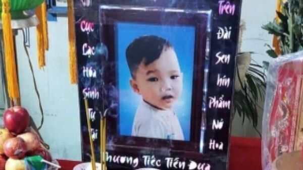 Vụ bé trai 18 tháng tuổi tử vong nghi bị bạo hàng tại Long An:  Tạm giam người mẹ và người tình để điều tra làm rõ - Sputnik Việt Nam