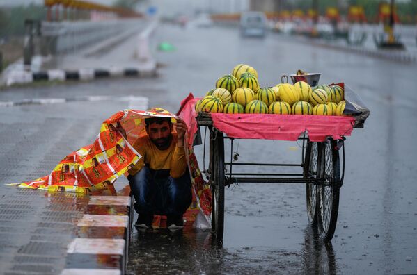 Người bán hoa quả trú mưa ở thành phố Jammu, Ấn Độ. - Sputnik Việt Nam