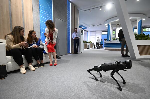 Chó robot trong hội trường nơi đang diễn ra phiên họp về “Quỹ đạo hướng nghiệp siêu mới” trong khuôn khổ Diễn đàn Kinh tế Quốc tế St.Petersburg lần thứ 25. - Sputnik Việt Nam