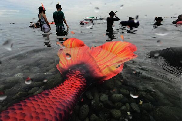 Các lớp học về nàng tiên cá ở Philippines. - Sputnik Việt Nam