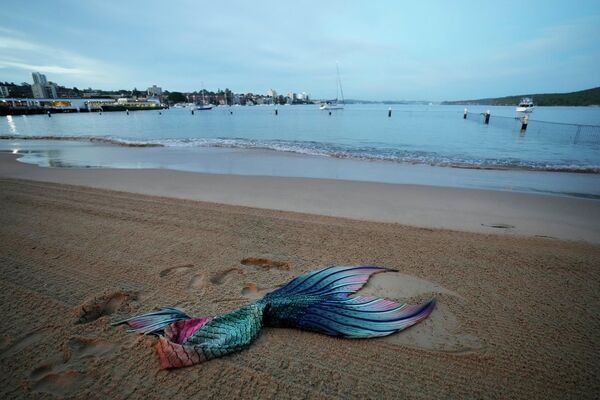 Đuôi nàng tiên cá ở bãi biển Manly Cove ở Sydney, Australia. - Sputnik Việt Nam