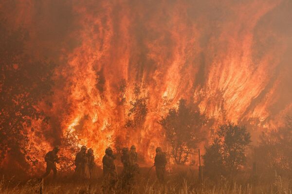 Lính cứu hỏa làm việc tại hiện trường vụ cháy rừng ở Pumarejo de Tera, Tây Ban Nha. - Sputnik Việt Nam