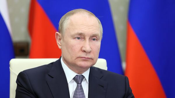 Tổng thống Nga Vladimir Putin, BRICS - Sputnik Việt Nam