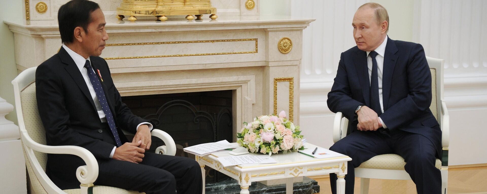 Tổng thống Nga Vladimir Putin gặp Tổng thống Indonesia J. Widodo - Sputnik Việt Nam, 1920, 30.06.2022