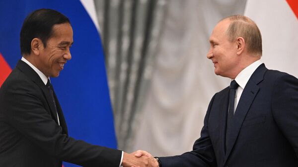 Tổng thống Nga Vladimir Putin gặp Tổng thống Indonesia J. Widodo - Sputnik Việt Nam