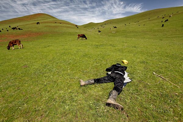 Người chăn cừu ngủ trên đồng cỏ gần Jalal-Abad - Sputnik Việt Nam
