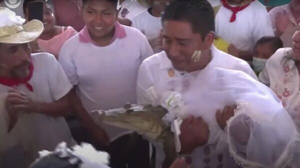 Thị trưởng thành phố kết hôn với một con cá sấu - Sputnik Việt Nam