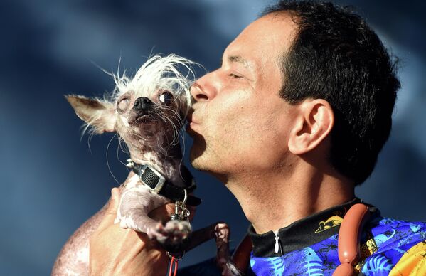 Một chú chó có mào Trung Quốc với chủ của mình tại cuộc thi Chó xấu nhất thế giới ở Petaluma, California - Sputnik Việt Nam