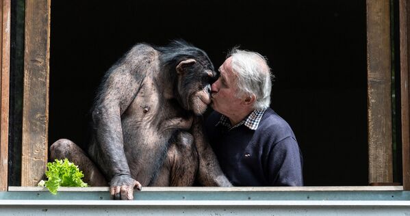 Chủ sở hữu vườn thú Pierre Thivillon hôn một con tinh tinh, Pháp - Sputnik Việt Nam