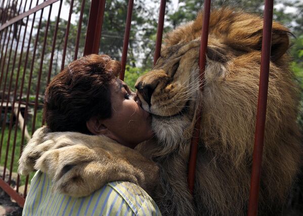 Ana Julia Torres hôn Sư tử Jupiter, được giải cứu từ rạp xiếc, tại trại nuôi động vật vô chủ Villa Lorena ở Cali, Colombia - Sputnik Việt Nam