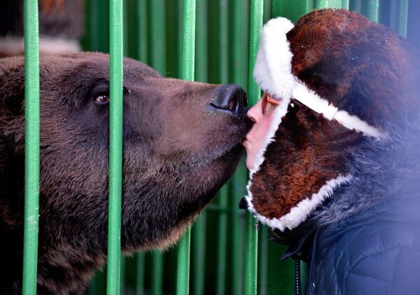 Người huấn luyện động vật Vera Blishch với một con gấu nâu trong chuồng thú mới của Ussuriysk - Sputnik Việt Nam
