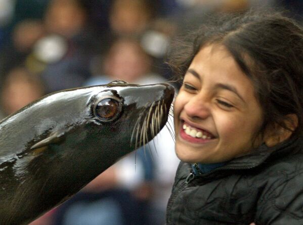 Cô gái cười khi nhận được nụ hôn từ một chú chó biển ở vườn thú Buenos Aires - Sputnik Việt Nam