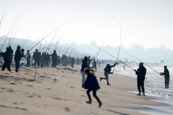 Những người ngư dân trong cuộc thi câu cá Brotola trên bãi biển Las Toscas, Uruguay. - Sputnik Việt Nam