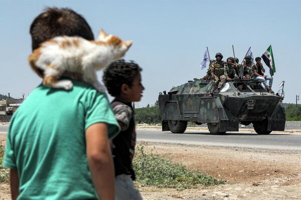 Một cậu bé với chú mèo con trên vai đang quan sát quân nổi dậy Syria do Thổ Nhĩ Kỳ hậu thuẫn tiến ra chiến tuyến trên con đường từ Afrin, Syria. - Sputnik Việt Nam