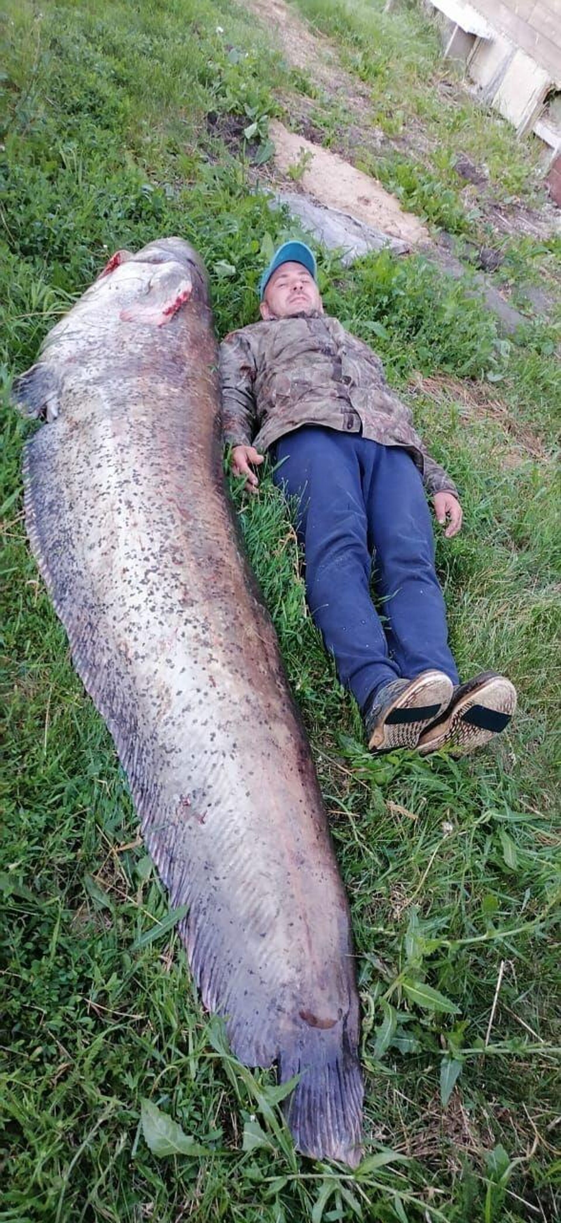 Một ngư dân ở Ulyanovsk bắt được con cá trê nặng 105 kg - Sputnik Việt Nam, 1920, 08.07.2022