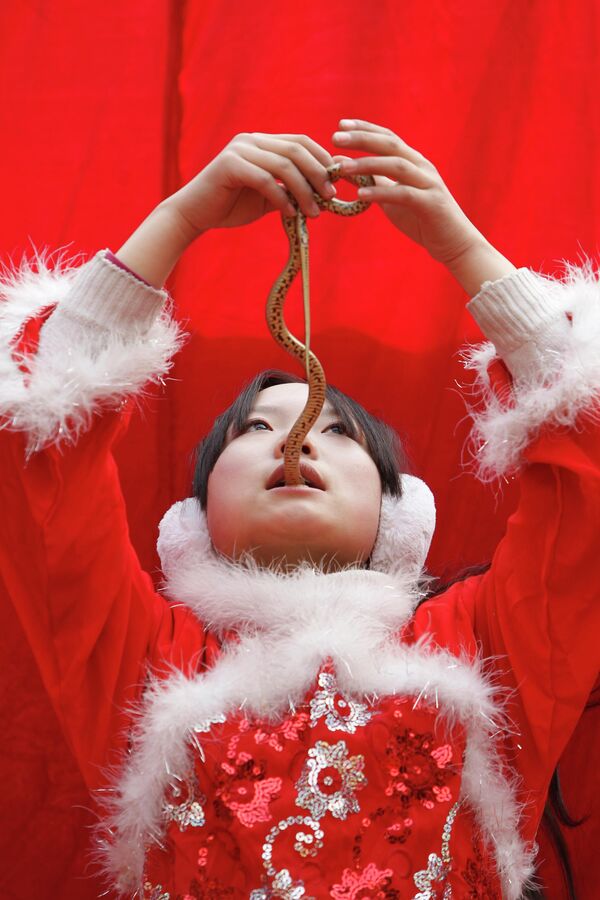 Cô gái nuốt rắn trong buổi biểu diễn mừng năm mới ở Bắc Kinh. - Sputnik Việt Nam