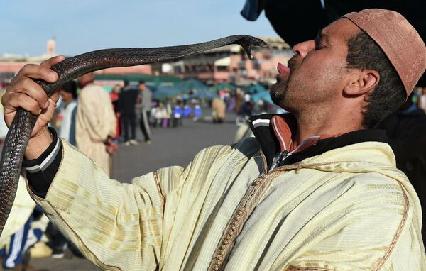 Người thuần hóa rắn biểu diễn tại Quảng trường Djemaa El Fna ở Marrakech. - Sputnik Việt Nam