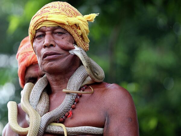 Người dạy rắn Ấn Độ tại lễ hội ở Jharkhand. - Sputnik Việt Nam