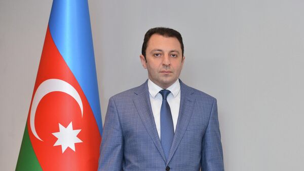 Thứ trưởng Azerbaijan Mammadov - Sputnik Việt Nam