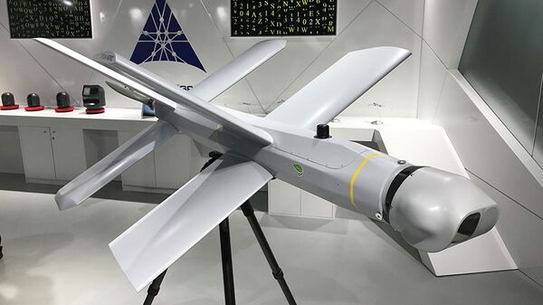 UAV Lancet  - Sputnik Việt Nam