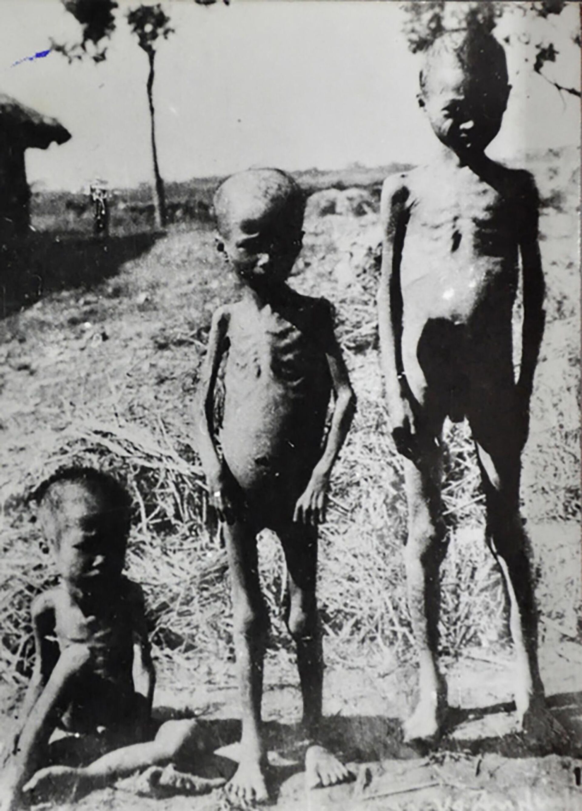 Nạn đói ở Việt Nam vào năm 1945 - Sputnik Việt Nam, 1920, 31.07.2022