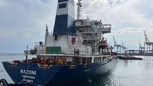 Tàu đầu tiên chở ngũ cốc rời cảng Odessa - Sputnik Việt Nam