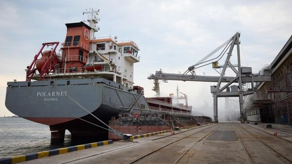 Tàu chở hàng Thổ Nhĩ Kỳ với hạt Polarnet của Ukraina ở cảng Odessa - Sputnik Việt Nam