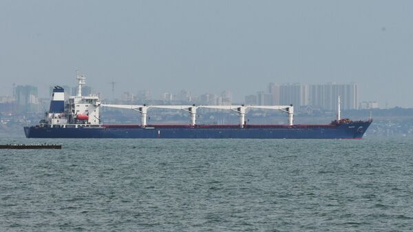 Tàu chở hàng khô Razoni ở cảng Odessa - Sputnik Việt Nam