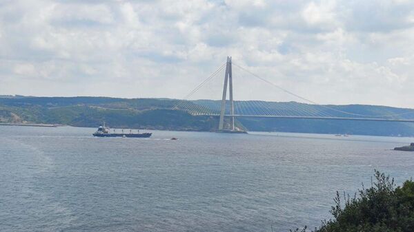 Tàu chở ngũ cốc Ukraina đã thông quan tại Istanbul - Sputnik Việt Nam