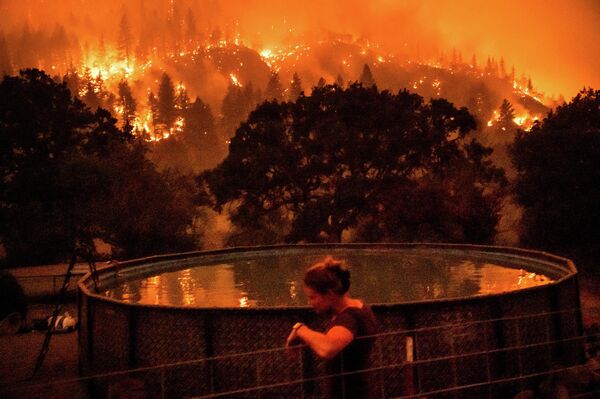 Angela Crawford theo dõi cảnh đám cháy «McKinney» thiêu đốt cây trên sườn đồi bên nhà nữ nghệ sĩ ở Rừng Quốc gia Klamath, bang California, Hoa Kỳ. - Sputnik Việt Nam