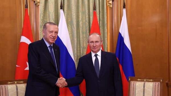Tổng thống Nga Vladimir Putin và Tổng thống Thổ Nhĩ Kỳ Recep Tayyip Erdogan trong cuộc gặp ở Sochi - Sputnik Việt Nam