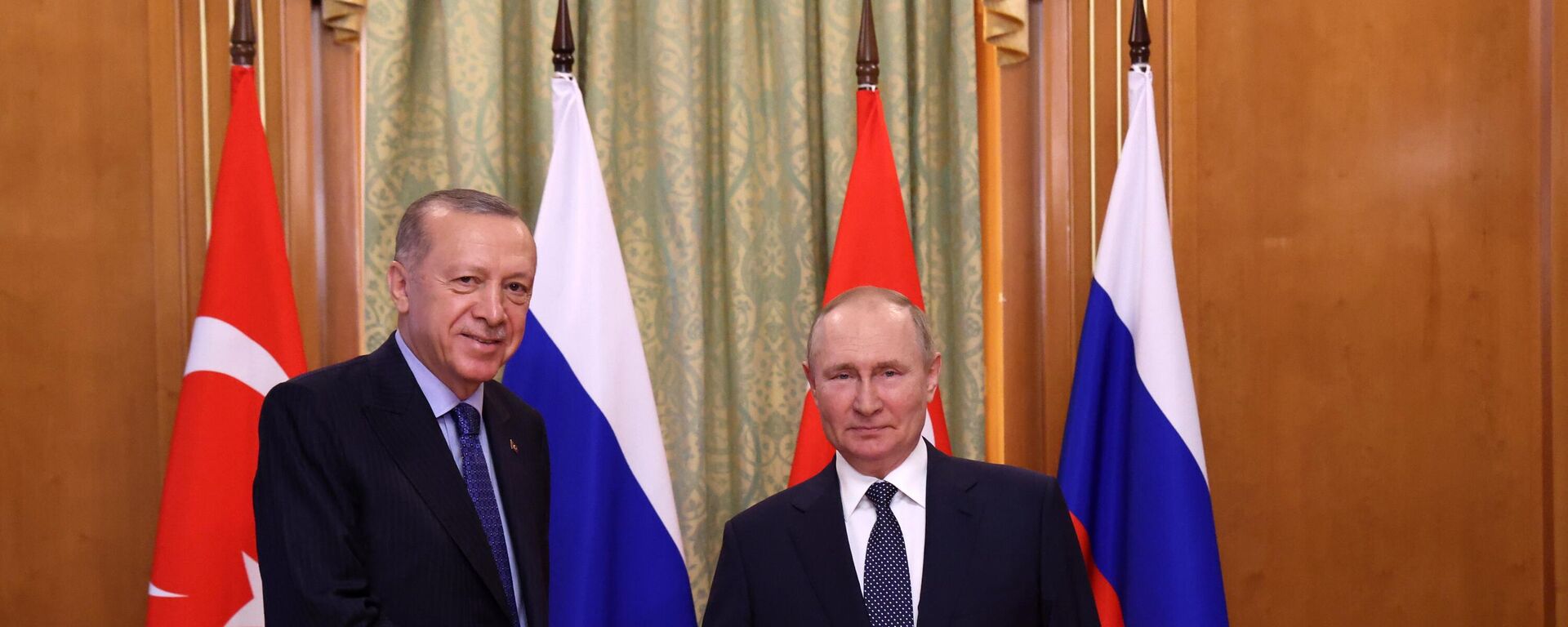 Tổng thống Nga Vladimir Putin và Tổng thống Thổ Nhĩ Kỳ Recep Tayyip Erdogan trong cuộc gặp ở Sochi - Sputnik Việt Nam, 1920, 06.08.2022