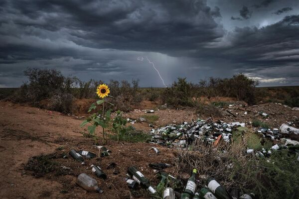 Bức ảnh Nature Fights Back của nhiếp ảnh gia Nam Phi Bertus Hanekom, giải nhất hạng mục Landscapes cuộc thi Nature TTL Photographer of the Year 2022. - Sputnik Việt Nam