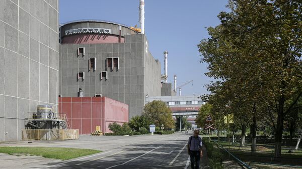 Nhà máy điện hạt nhân Zaporozhye - Sputnik Việt Nam