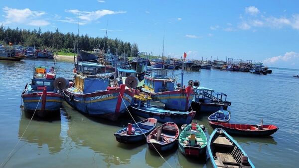 Hàng loạt tàu cá tại cảng Bến Lội - Bình Châu, huyện Xuyên Mộc phải nằm bờ do khan hiếm dầu diesel. - Sputnik Việt Nam