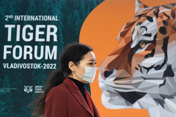 Thành phần tham dự phiên họp toàn thể &quot;Tình hình thực hiện chương trình phục hồi hổ toàn cầu giai đoạn 2010 - 2022.&quot; trong khuôn khổ Diễn đàn Kinh tế Phương Đông (EEF) tại Vladivostok. - Sputnik Việt Nam