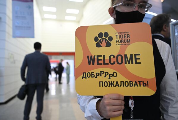 Tình nguyện viên chào mừng những người tham gia Diễn đàn Hổ quốc tế II tại Diễn đàn Kinh tế Phương Đông ở Vladivostok. - Sputnik Việt Nam