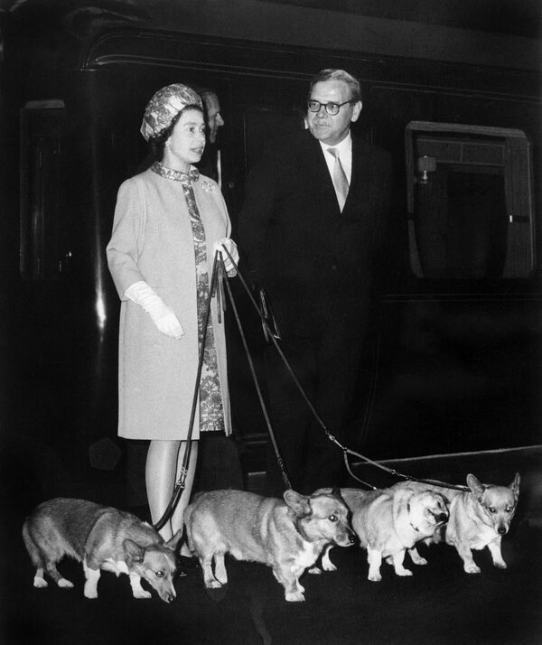Nữ hoàng Elizabeth II tại nhà ga King&#x27;s Cross ở London với 4 chú chó corgi của mình. - Sputnik Việt Nam