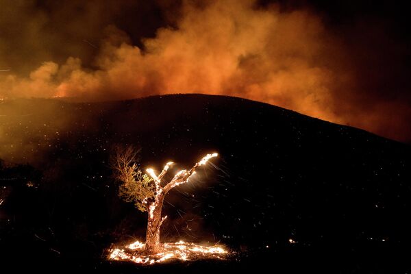 Cháy rừng gần Hemet, California. - Sputnik Việt Nam