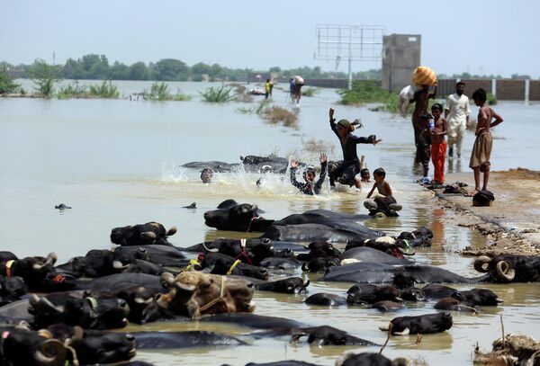 Trẻ em bơi trong nước lũ sau trận mưa lớn ở Jaffarabad, Pakistan. - Sputnik Việt Nam