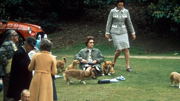 Nữ hoàng Elizabeth II với chú chó corgi, 1969 - Sputnik Việt Nam
