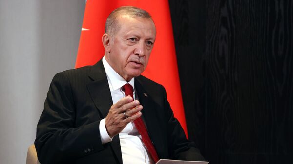 Tổng thống Thổ Nhĩ Kỳ Recep Tayyip Erdogan - Sputnik Việt Nam