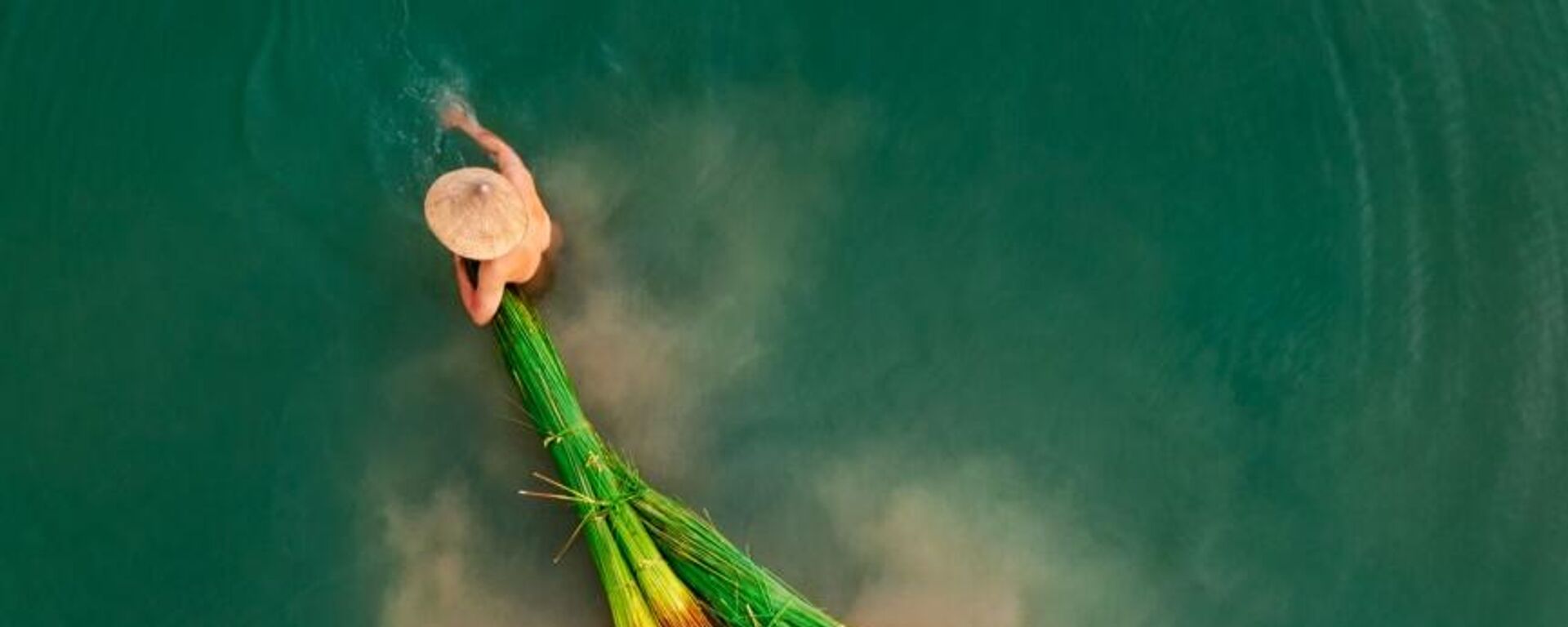 Bức ảnh Collecting Bang Grass (“Thu hoạch cỏ bàng”) của nhiếp ảnh gia Việt Nam Nguyễn Hữu Bình, được đánh giá cao ở hạng mục «People» trong cuộc thi Drone Photo Awards 2022 - Sputnik Việt Nam, 1920, 19.09.2022