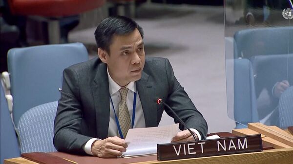 Постоянный представитель Социалистической Республики Вьетнам при ООН Đặng Hoàng Giang - Sputnik Việt Nam