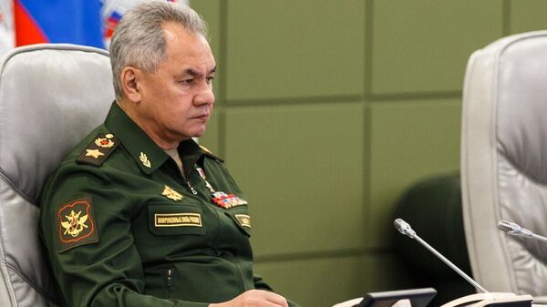 Bộ trưởng Bộ Quốc phòng Liên bang Nga S. Shoigu - Sputnik Việt Nam