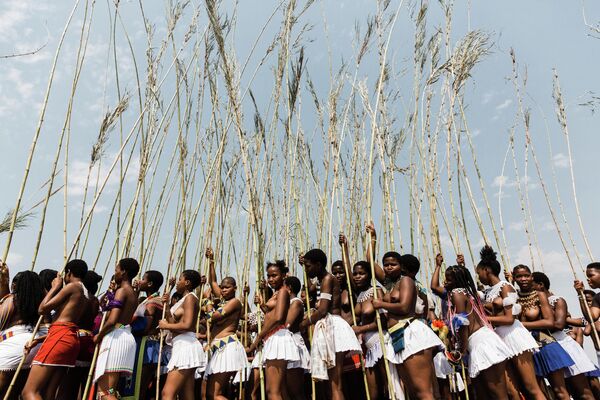 Các cô gái Zulu tụ tập trong lễ múa gậy hàng năm tại Cung điện Hoàng gia Enyokeni ở Nongoma, Nam Phi. - Sputnik Việt Nam